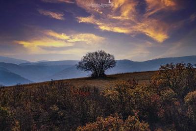 Прикрепленное изображение: IMG_3990м.jpg